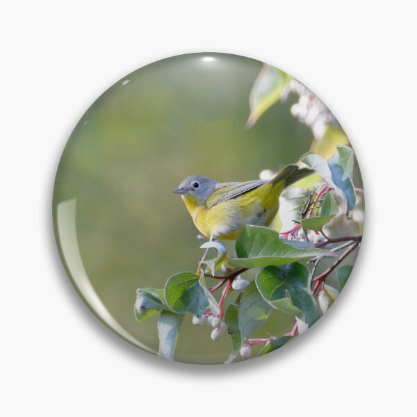 Item preview, Nashville Warbler designed and sold by lisapicklepizza.