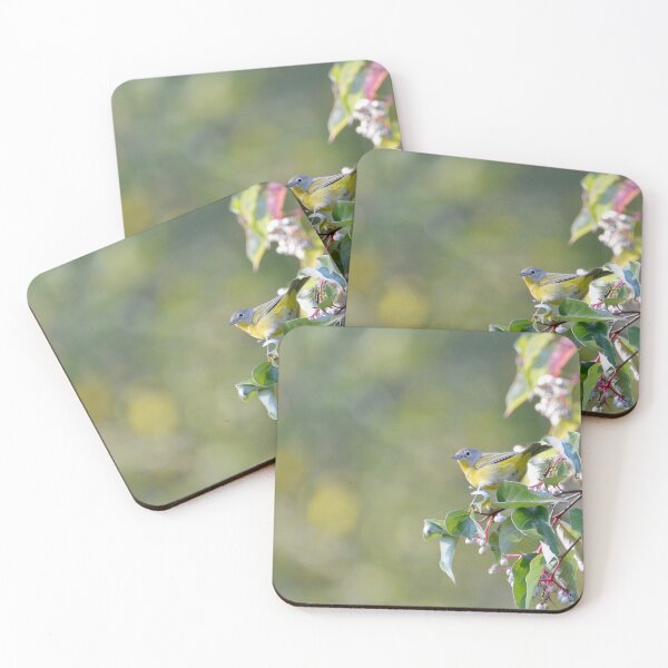 Item preview, Nashville Warbler designed and sold by lisapicklepizza.