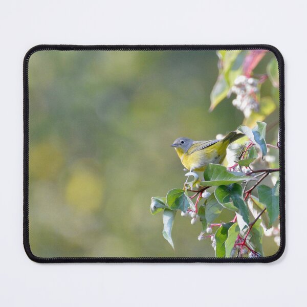 Item preview, Nashville Warbler designed and sold by lisapicklepizza.