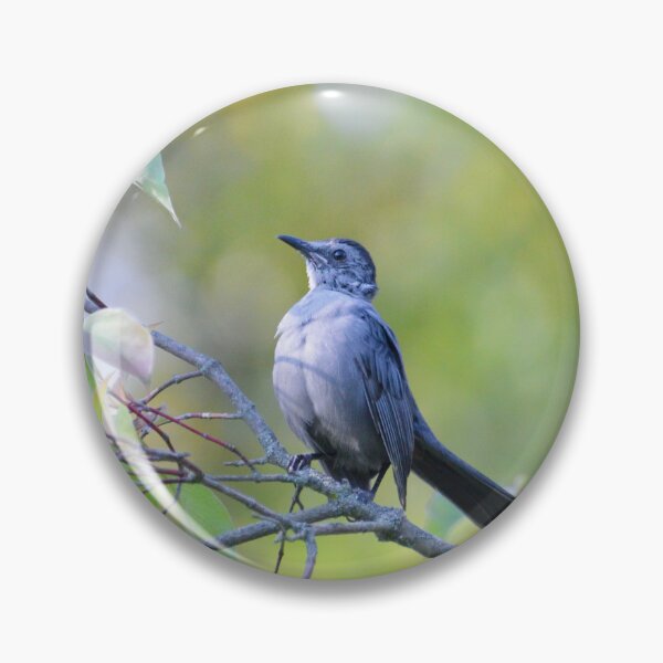 Item preview, Gray Catbird designed and sold by lisapicklepizza.