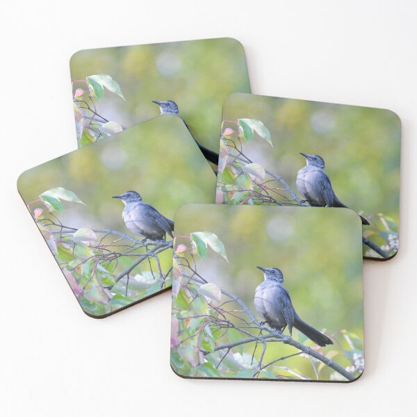 Item preview, Gray Catbird designed and sold by lisapicklepizza.