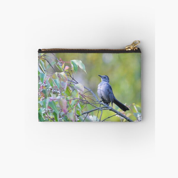 Item preview, Gray Catbird designed and sold by lisapicklepizza.