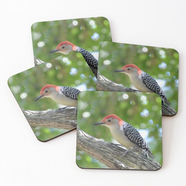 Item preview, Red Bellied Woodpecker designed and sold by lisapicklepizza.