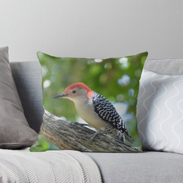 Item preview, Red Bellied Woodpecker designed and sold by lisapicklepizza.