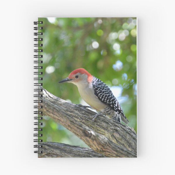 Item preview, Red Bellied Woodpecker designed and sold by lisapicklepizza.