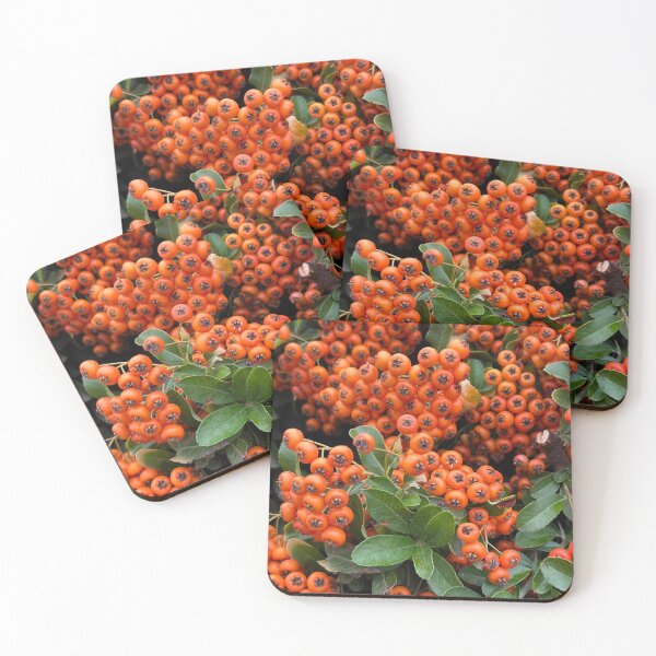 Item preview, Autumn season Pyracantha bush fruits designed and sold by Ponted.