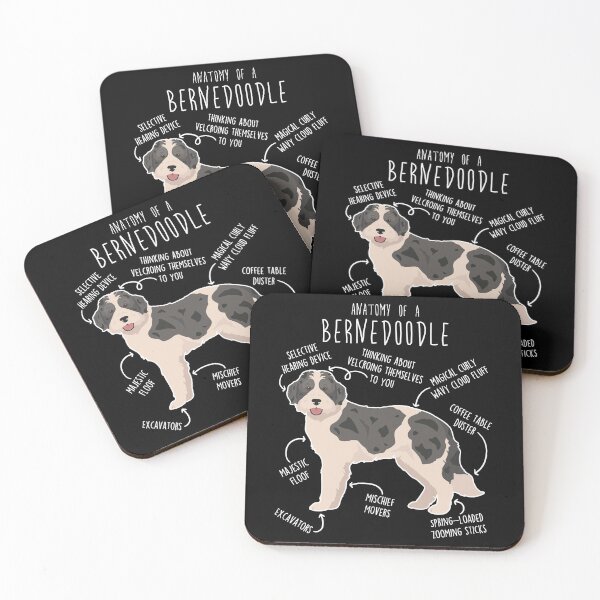 Item preview, Bernedoodle Parti Black Merle Dog Anatomy designed and sold by Clara Hollins.
