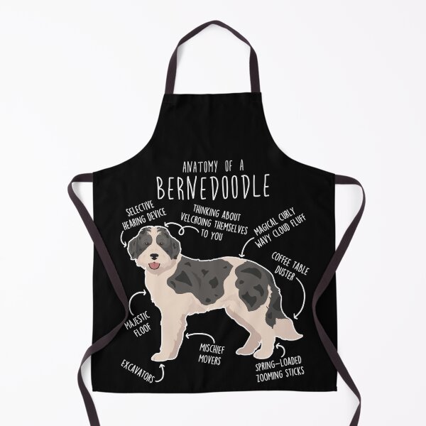 Item preview, Bernedoodle Parti Black Merle Dog Anatomy designed and sold by Clara Hollins.