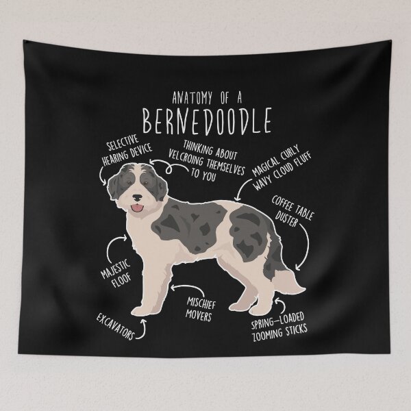 Item preview, Bernedoodle Parti Black Merle Dog Anatomy designed and sold by Clara Hollins.
