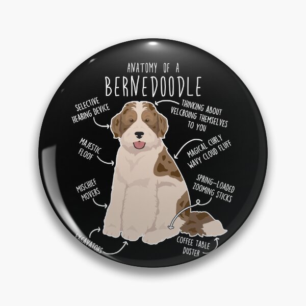 Item preview, Bernedoodle Parti Chocolate Merle Dog Anatomy designed and sold by Clara Hollins.