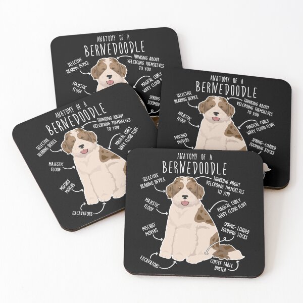 Item preview, Bernedoodle Parti Chocolate Merle Dog Anatomy designed and sold by Clara Hollins.