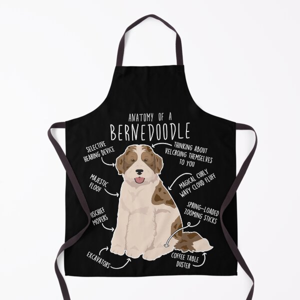 Item preview, Bernedoodle Parti Chocolate Merle Dog Anatomy designed and sold by Clara Hollins.