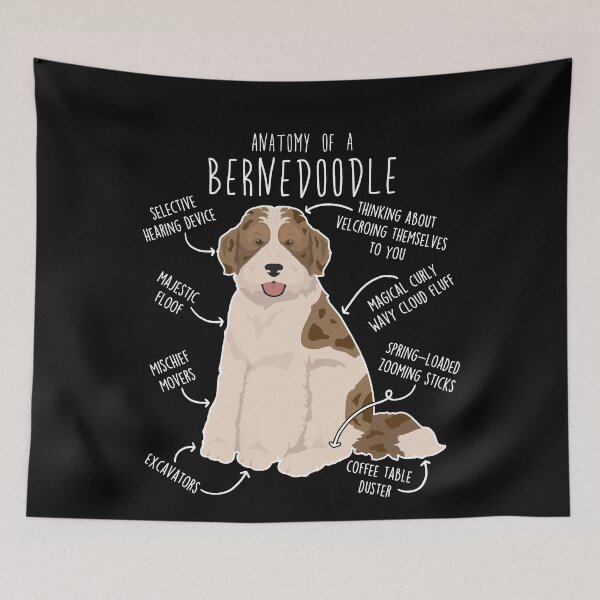 Item preview, Bernedoodle Parti Chocolate Merle Dog Anatomy designed and sold by Clara Hollins.