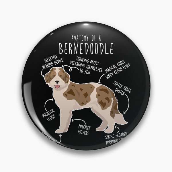 Item preview, Bernedoodle Parti Chocolate Merle Dog Anatomy designed and sold by Clara Hollins.