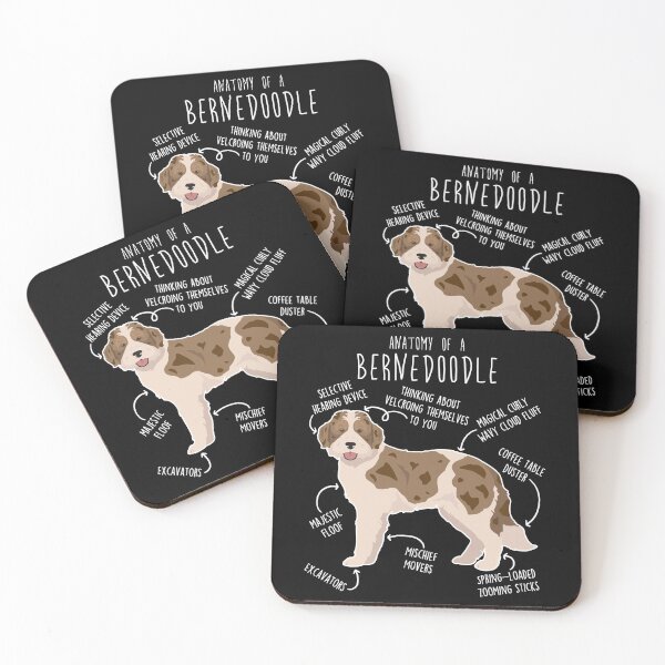 Item preview, Bernedoodle Parti Chocolate Merle Dog Anatomy designed and sold by Clara Hollins.