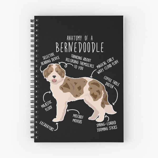 Item preview, Bernedoodle Parti Chocolate Merle Dog Anatomy designed and sold by Clara Hollins.