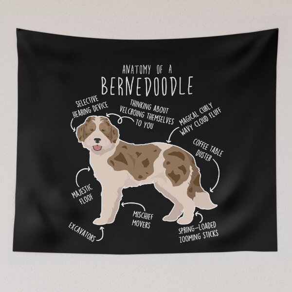 Item preview, Bernedoodle Parti Chocolate Merle Dog Anatomy designed and sold by Clara Hollins.
