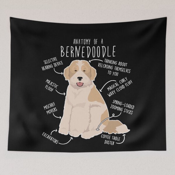 Item preview, Bernedoodle Parti Recessive Yellow Bicolor Dog Anatomy designed and sold by Clara Hollins.