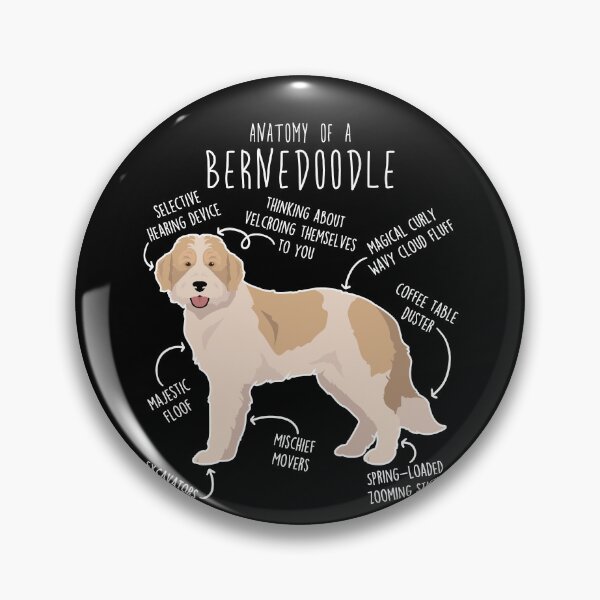 Item preview, Bernedoodle Parti Recessive Yellow Bicolor Dog Anatomy designed and sold by Clara Hollins.