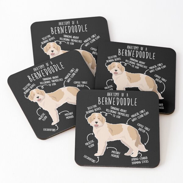Item preview, Bernedoodle Parti Recessive Yellow Bicolor Dog Anatomy designed and sold by Clara Hollins.