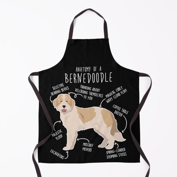Item preview, Bernedoodle Parti Recessive Yellow Bicolor Dog Anatomy designed and sold by Clara Hollins.