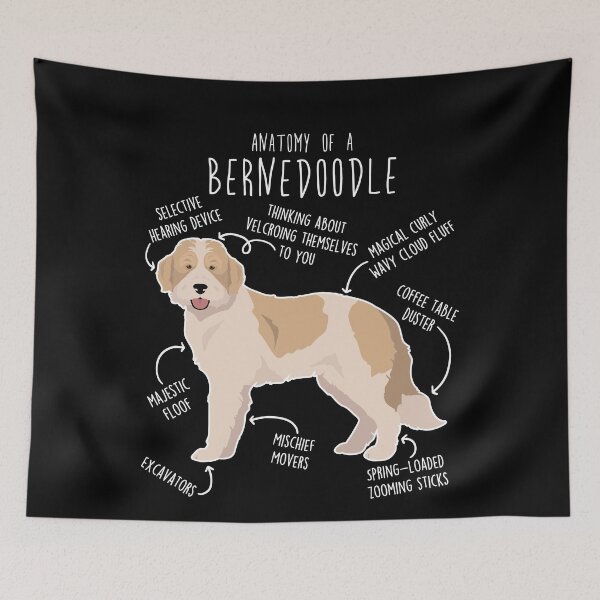 Item preview, Bernedoodle Parti Recessive Yellow Bicolor Dog Anatomy designed and sold by Clara Hollins.