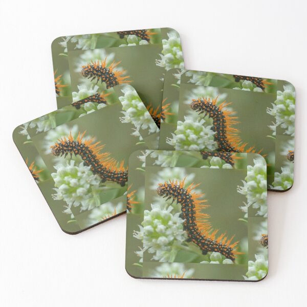 Item preview, Chaparral Hungry Tale designed and sold by MIIKE DESIGN.