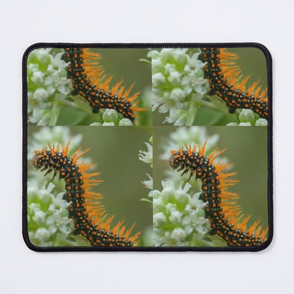 Item preview, Chaparral Hungry Tale designed and sold by MIIKE DESIGN.