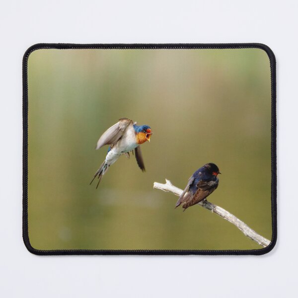 Item preview, Loud and Clear designed and sold by AvianAdventures.