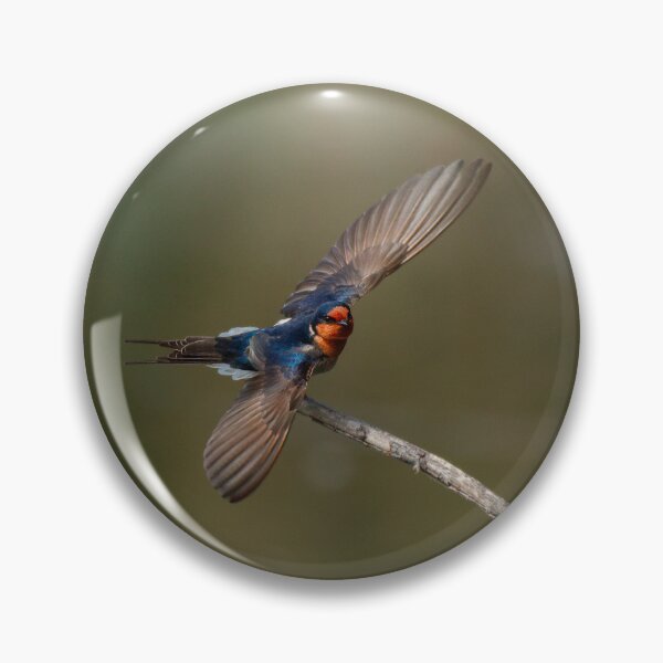 Item preview, Taking Flight designed and sold by AvianAdventures.