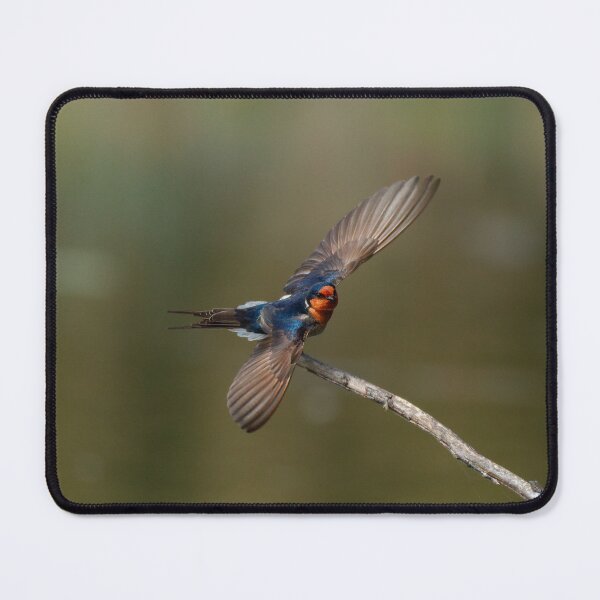 Item preview, Taking Flight designed and sold by AvianAdventures.