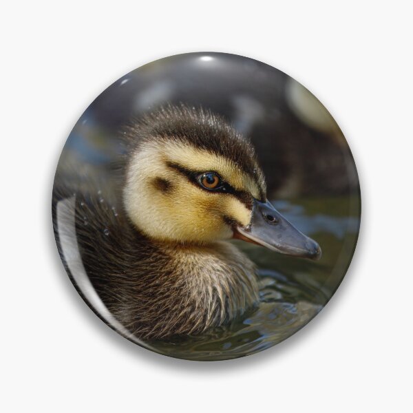 Item preview, Duckling Duo designed and sold by AvianAdventures.