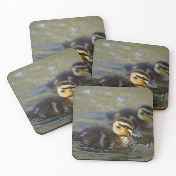 Item preview, Duckling Duo designed and sold by AvianAdventures.