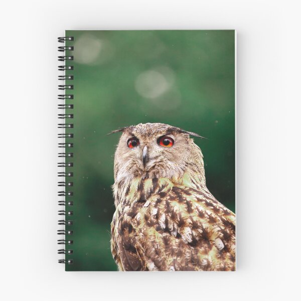 Item preview, Watchful Eyes designed and sold by AvianAdventures.