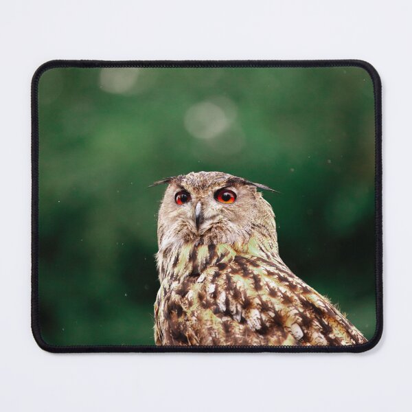 Item preview, Watchful Eyes designed and sold by AvianAdventures.