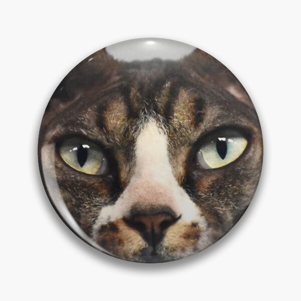Item preview, Halloween Egyptian Hairless Cat with Green Eyes Fine Art designed and sold by Yogibear & Rachelle .
