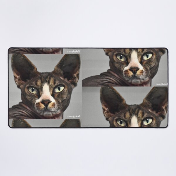 Item preview, Halloween Egyptian Hairless Cat with Green Eyes Fine Art designed and sold by Yogibear & Rachelle .