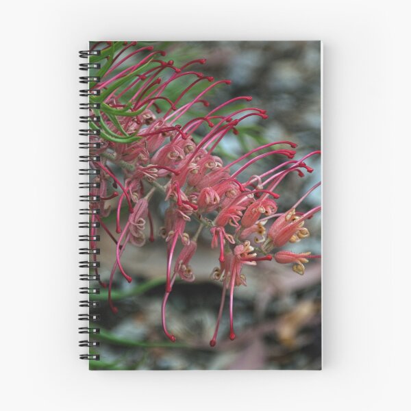 Item preview, Grevillea Leith Park Victoria 20180112 2035  designed and sold by Fred Mitchell.