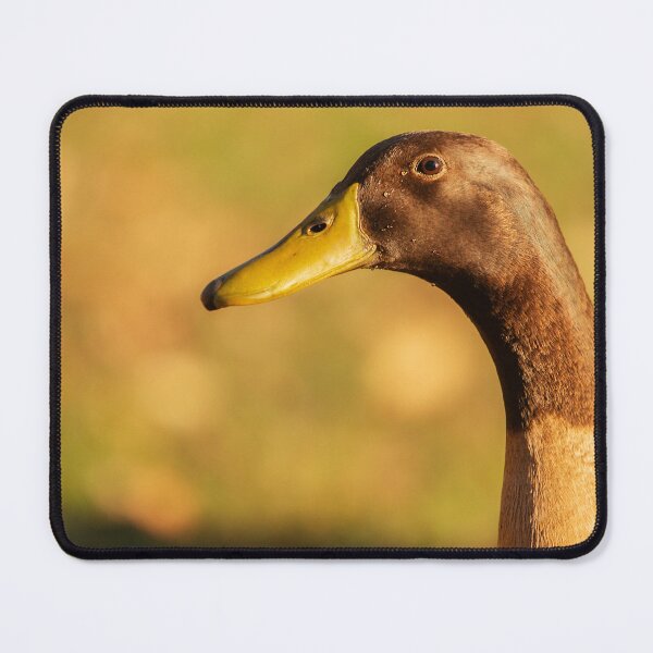 Item preview, Indian Runner Duck designed and sold by robdwildlife.