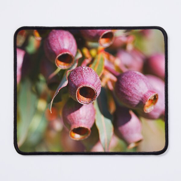 Item preview, Gumnut Ornaments Australia designed and sold by Joy Watson - Natural Light Photography .