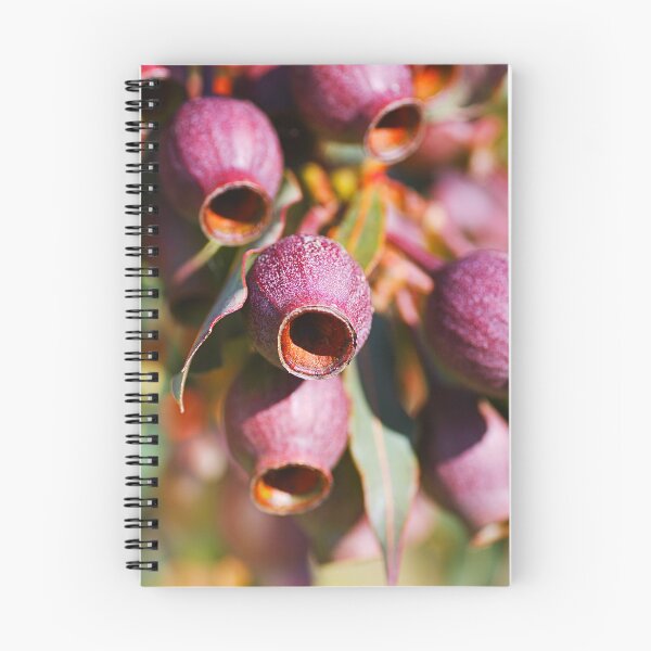 Item preview, Gumnut Ornaments Australia  designed and sold by Joy Watson - Natural Light Photography .