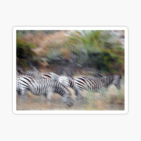 Dazzle of Zebra Sticker