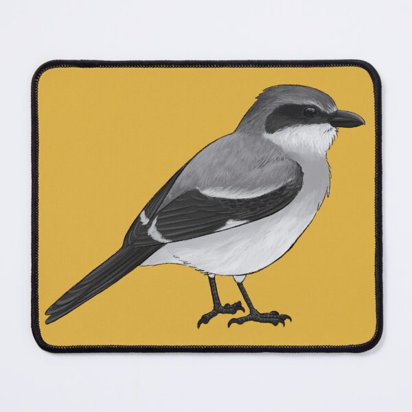 Item preview, Loggerhead shrike designed and sold by VulpiSketch.