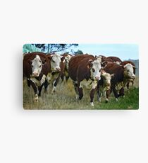 1784 Scary confrontation Canvas Print