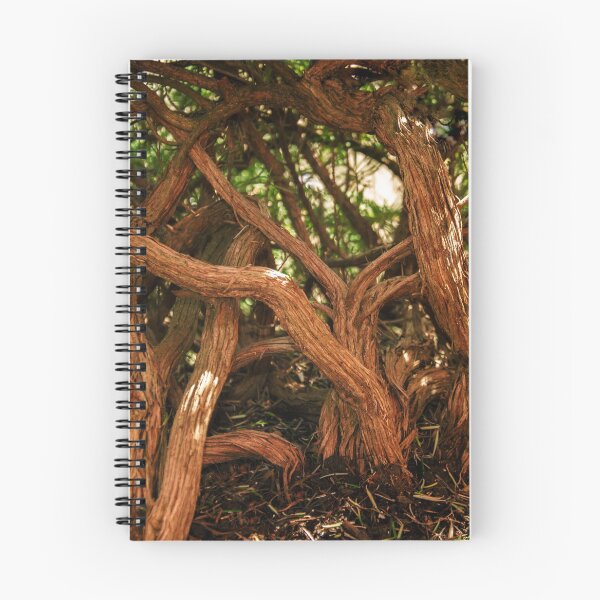 Item preview, muy viejo bosque designed and sold by TessAndre.