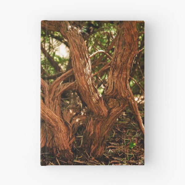Item preview, muy viejo bosque designed and sold by TessAndre.