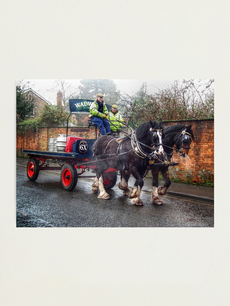 "Wadworths 6x Shire Horses Devizes Brewery Wiltshire England UK