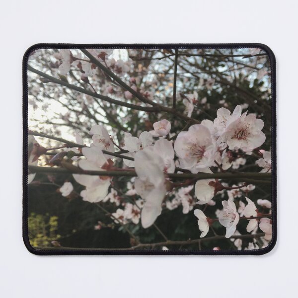 Aperçu de l'œuvre La promesse des fleurs du printemps créée et vendue par La.