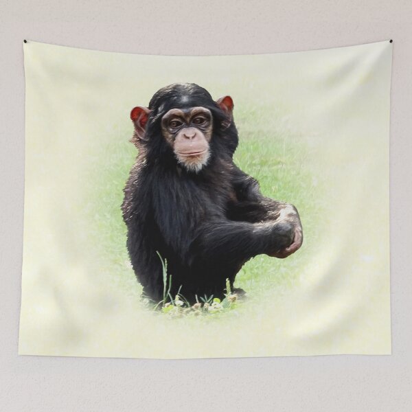 Item preview, Little chimpanzee designed and sold by Guardi71.