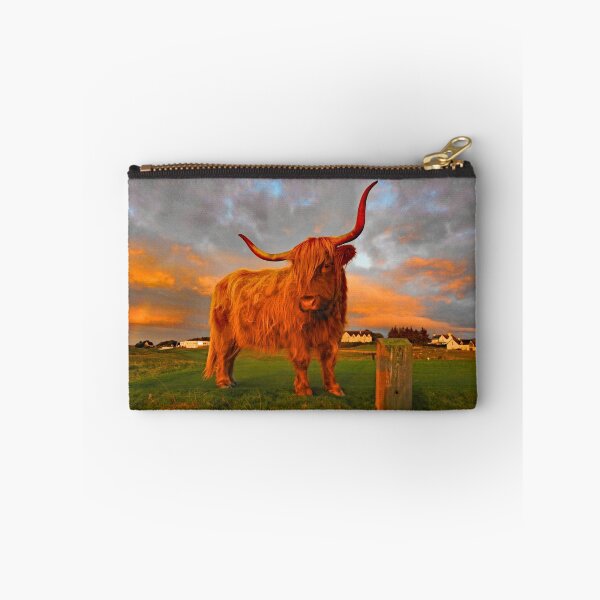 Item preview, Highland Cow on Brora Golf Course at Sunrise designed and sold by sandysshoots.